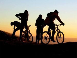 12935282_10207727701264270_1725303093_n