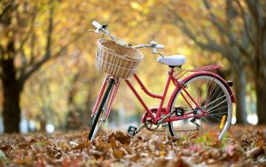 Bike_in_Leaves_836629373