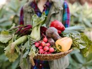 Сирова храна – сојузник на доброто здравје