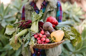 Сирова храна – сојузник на доброто здравје