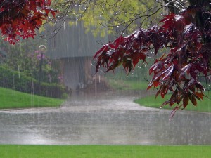Rain-Falling-Background