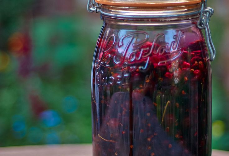 Тинктура од аронија за подобра циркулација и појак имунитет