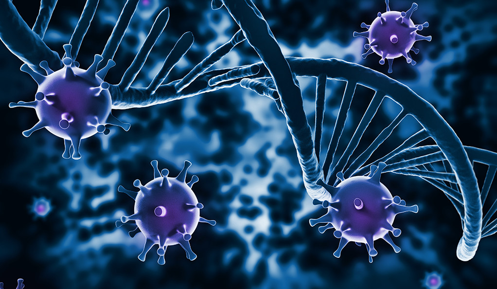 Како да го зајакнете имунитетот?