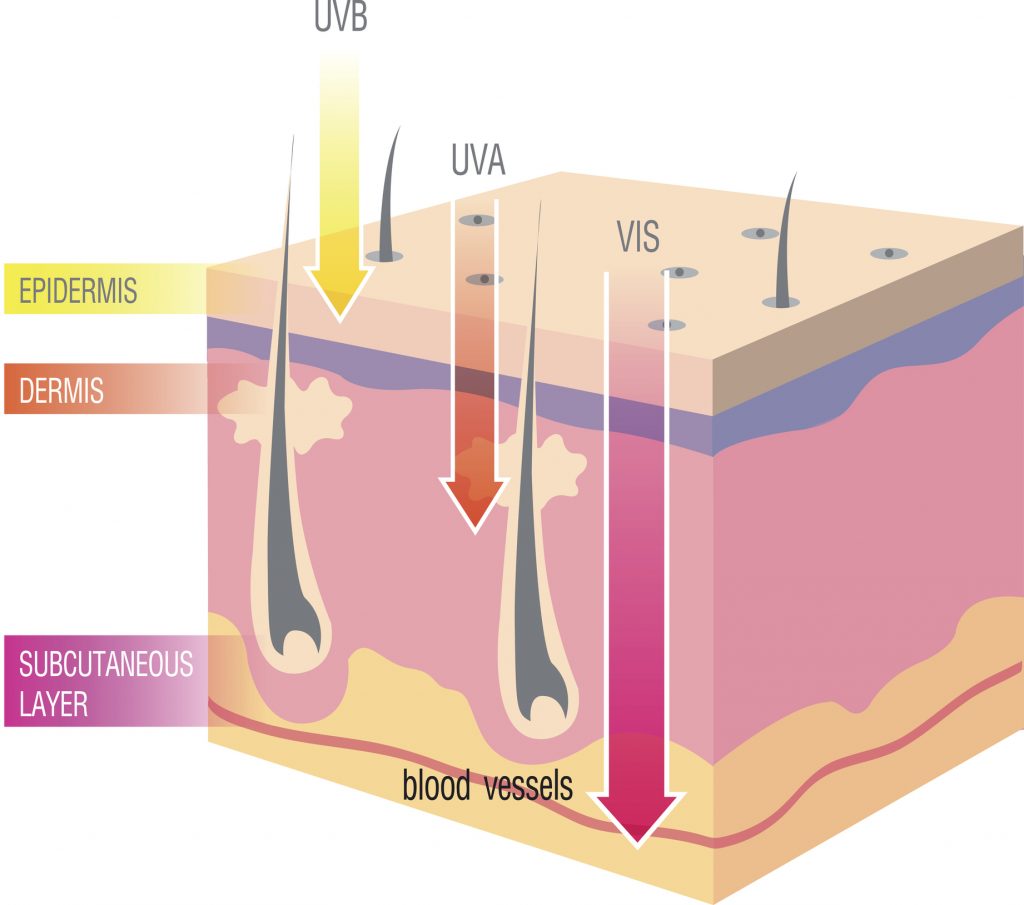 What is Ultraviolet Radiation? | Solar Gard Window Films ...