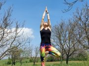 Јога со Fitlife!