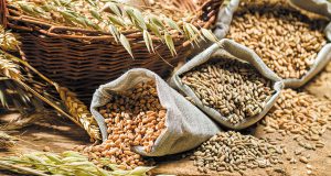 Зошто се толку важни целите житарки и зрна во нашата исхрана?